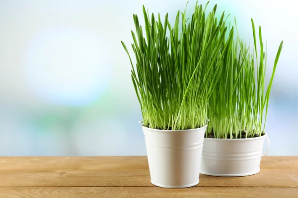 Frisches grünes Gras in kleinen Metalleimern, auf Holztisch, auf hellem Hintergrund — Stockfoto