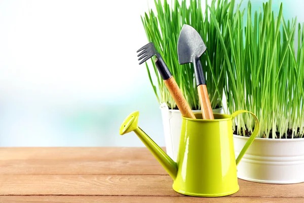 Fresh green grass in small metal buckets, watering can and garden tools on wooden table, on bright background — Stock Photo, Image