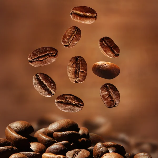 Kávébab barna alapon — Stock Fotó