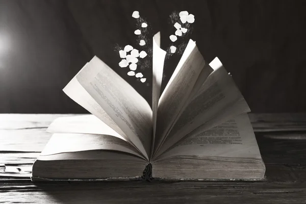 Offenes Buch mit fallenden Blütenblättern auf dem Tisch — Stockfoto