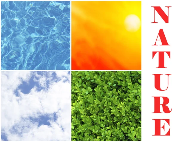 Water, plant, sky and sun in collage, nature components concept — Stock Photo, Image