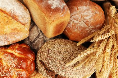 Kulakları ile farklı ekmek yakın çekim