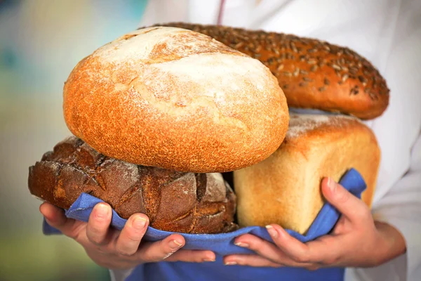 Armful of freshly bread in female hands on light blurred background — Stock Photo, Image