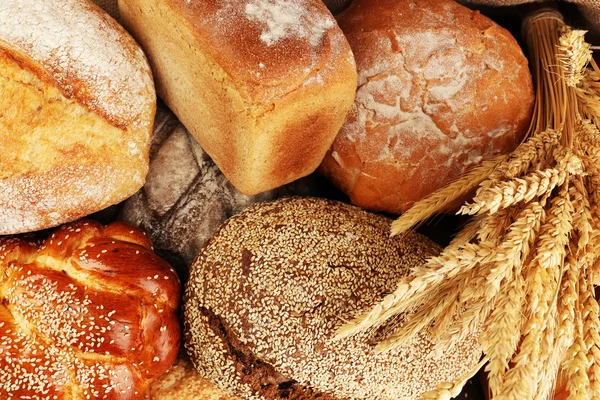 Different bread with ears close up — Stock Photo, Image