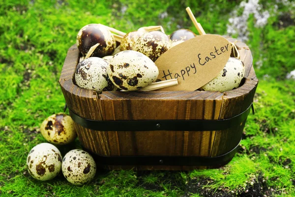 Bird eggs in wooden bucket on green grass background — Stock Photo, Image