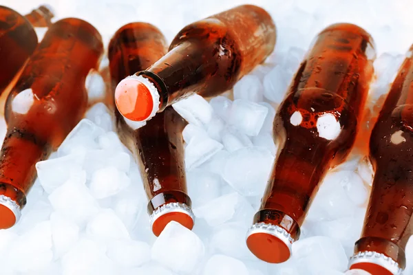 Glass bottles of beer with ice cubes, closeup — Stock Photo, Image