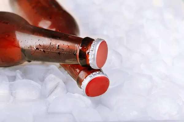 Скляні пляшки пива з кубиками льоду, крупним планом — стокове фото