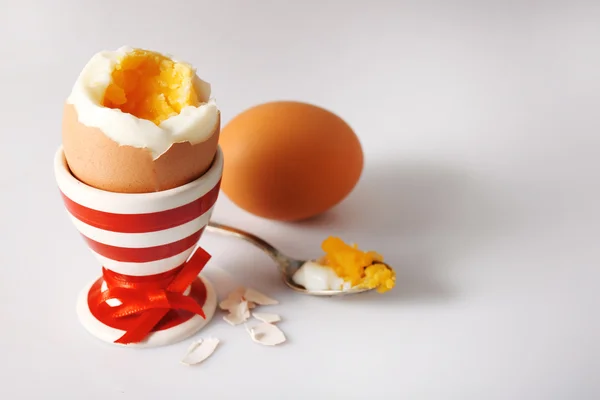 Boiled egg in holder on light background — Stock Photo, Image