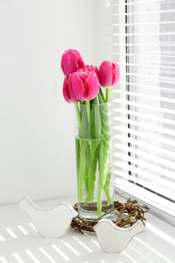 Güneş ışığı ile pencere üzerinde pembe güzel Lale