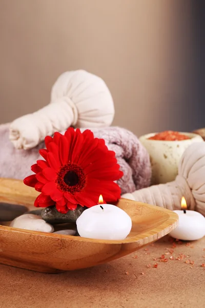 Composition of spa treatment on wooden table, on light color background — Stock Photo, Image