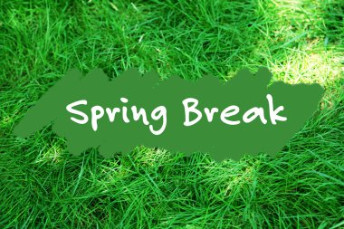 Bahar tatili kavramı. Yeşil çim arka plan