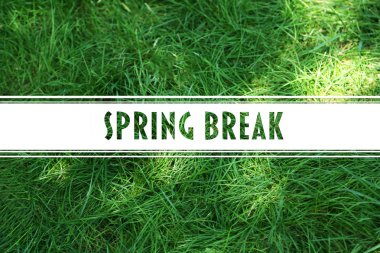 Bahar tatili kavramı. Yeşil çim arka plan
