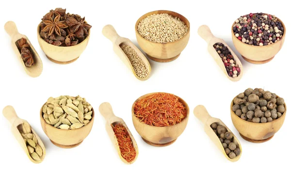 Collage of different spices in bowls isolated on white — Stock Photo, Image