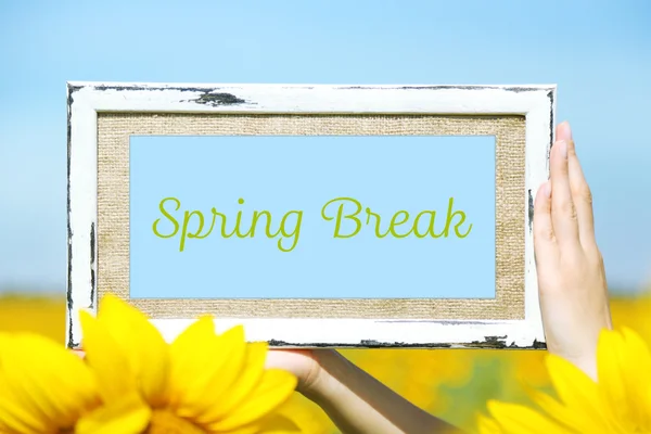 Spring break concept. Frame in hands on sunflower field background — Stock Photo, Image