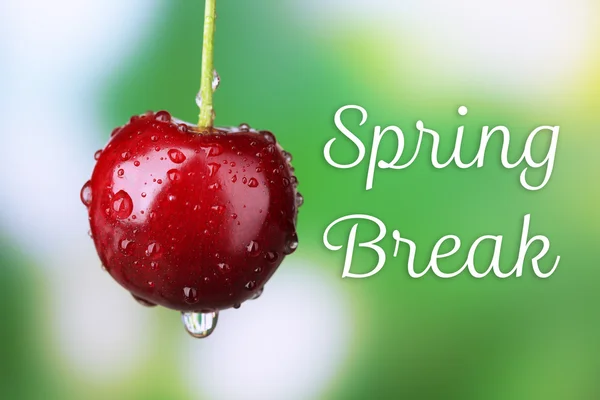 Spring break concept. Ripe sweet cherry with drops close up — Stock Photo, Image