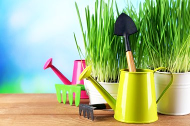 Taze yeşil ot küçük metal kovalar, sulama olabilir ve parlak zemin üzerine ahşap masa üzerinde Bahçe aletleri