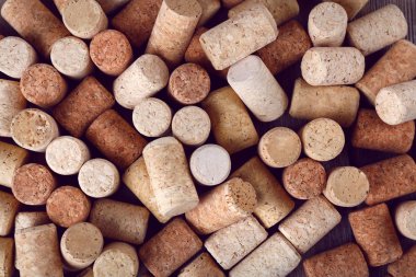 Birçok şarap Mantarlar, makro görünümü