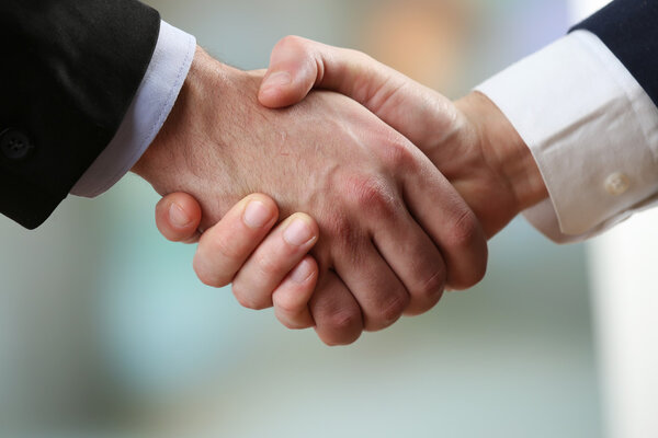 Business handshake on bright background