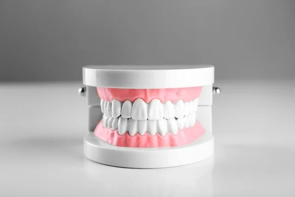 Modelos de dentes humanos de plástico isolados em branco — Fotografia de Stock