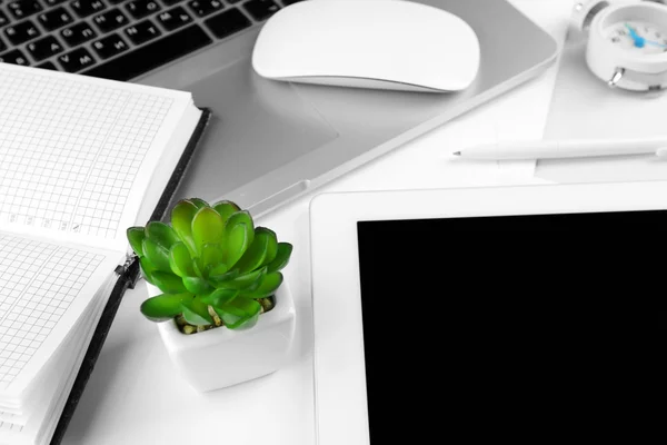 Escritório local de trabalho com tablet e vaso planta de perto — Fotografia de Stock