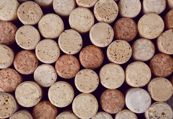 Heap of wine corks, macro view — Stock Photo, Image