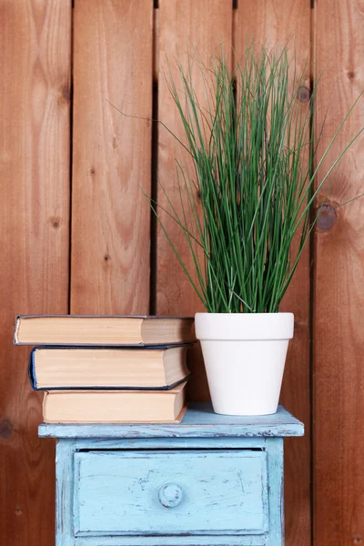 Diseño de interiores con planta y pila de libros sobre tabla sobre tablones de madera fondo — Foto de Stock