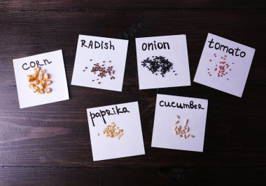 Kağıt ahşap arka plan üzerinde parçaları farklı tohumlar
