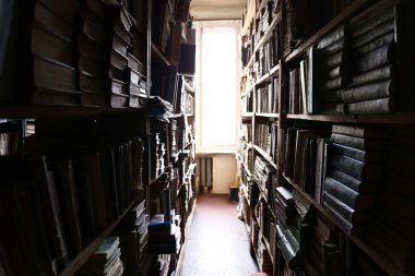 Pek çok kitap kütüphane içinde bookshelf