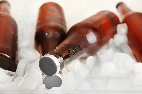 Garrafas de vidro de cerveja com cubos de gelo, close-up — Fotografia de Stock