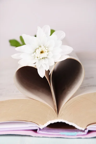 Öppna boken med form av hjärta från sidorna och blomma på ljus bakgrund — Stockfoto