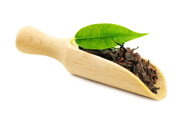 Деревянная сенсация с черным чаем с листом, изолированным на белом — стоковое фото
