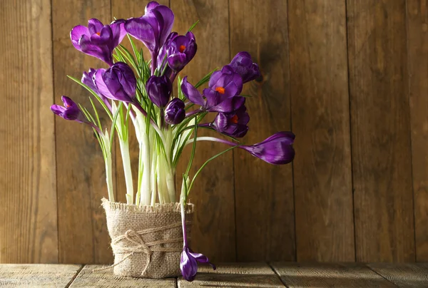 Flores de cocodrilo en maceta envuelta sobre fondo de madera —  Fotos de Stock