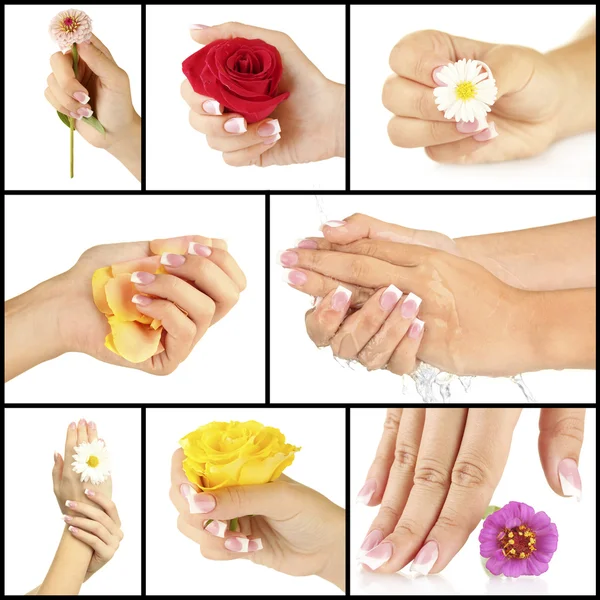 Mani con manicure francese e fiore isolato su bianco in collage — Foto Stock