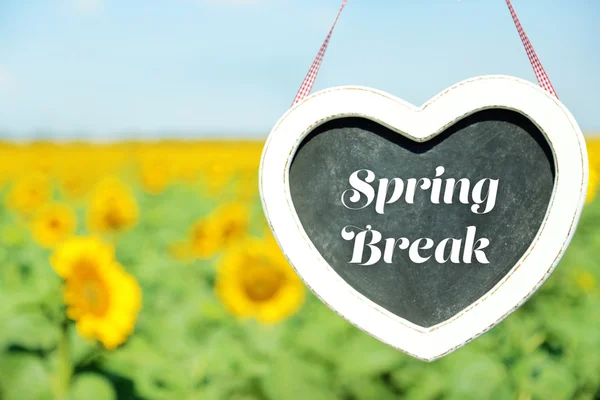 Spring break concept. Blackboard in shape of heart on sunflower field background — Stock Photo, Image