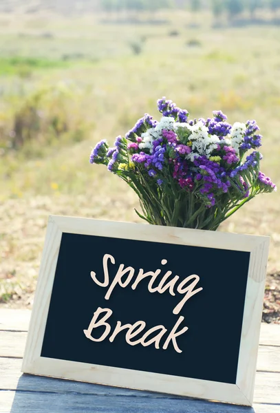 Spring break concept. Beautiful wild flowers in vase and frame on field background — Stock Photo, Image