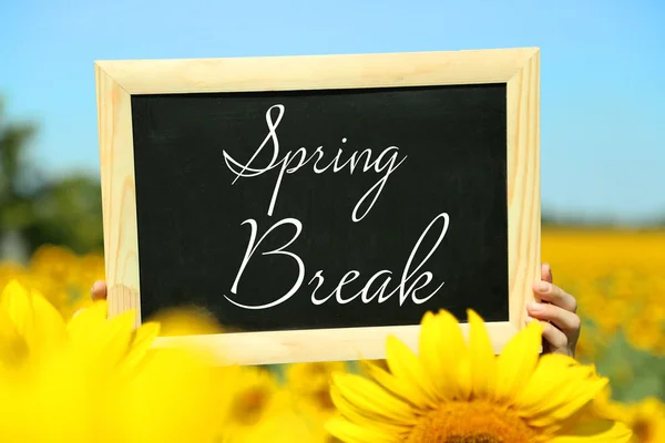 Spring break concept. Blackboard in hands on sunflower field background — Stock Photo, Image