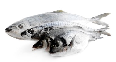 Beyazlar üzerinde taze balık.