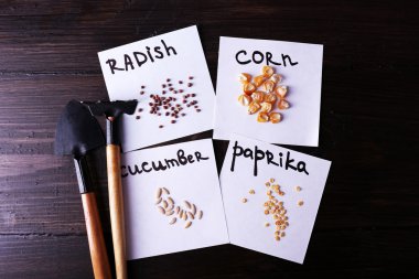 Ahşap arka plan üzerinde Bahçe aletleri ile farklı tohumlar üzerinde kağıt parçaları