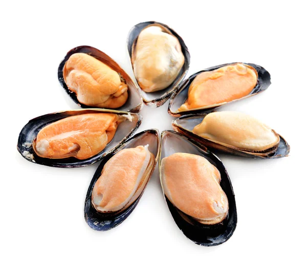 Mussels isolated on white — Stock Photo, Image