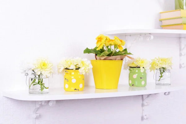 Flor em prateleiras no fundo da parede branca — Fotografia de Stock