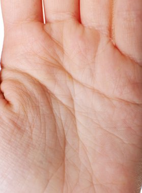 İnsan eli yakın çekim