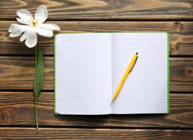 Defter ile ahşap arka plan üzerinde kalem ve Beyaz Lale