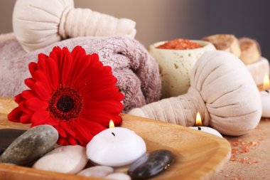 kaplıca tedavisi açık renk arka plan üzerinde ahşap masa üzerinde bileşimi