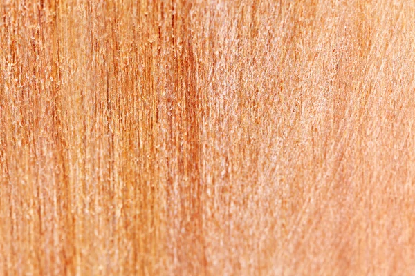 Struktura dřeva zblízka — Stock fotografie