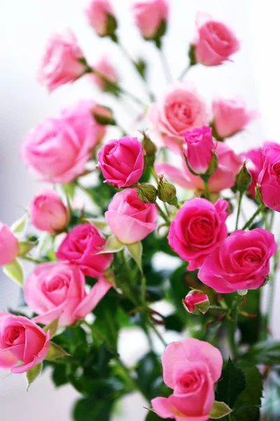 Beautiful pink roses on light background — Stock Photo, Image