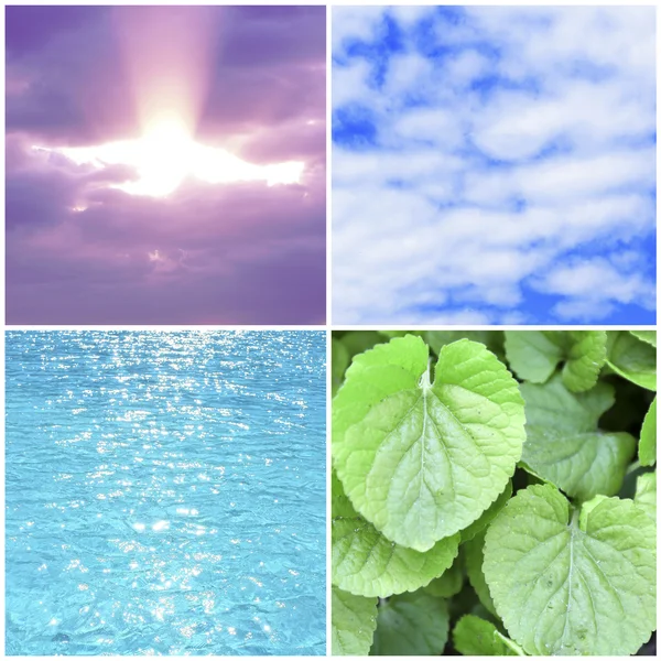 Agua, planta, cielo y sol en collage, concepto de componentes de la naturaleza —  Fotos de Stock