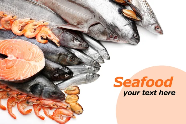 Fresh catch of fish and other seafood close-up — Stock Photo, Image