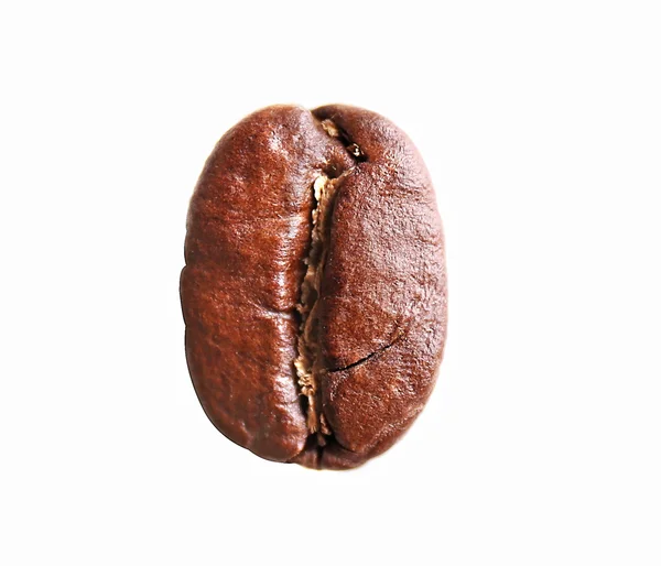Coffee bean isolated on white — Stock Photo, Image