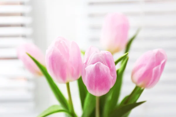 Hermosos tulipanes rosados en el alféizar de la ventana, vista macro — Foto de Stock