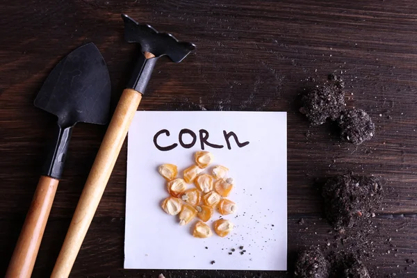 Corn seeds on piece of paper with ground and gardening tools on wooden background — Stock Photo, Image